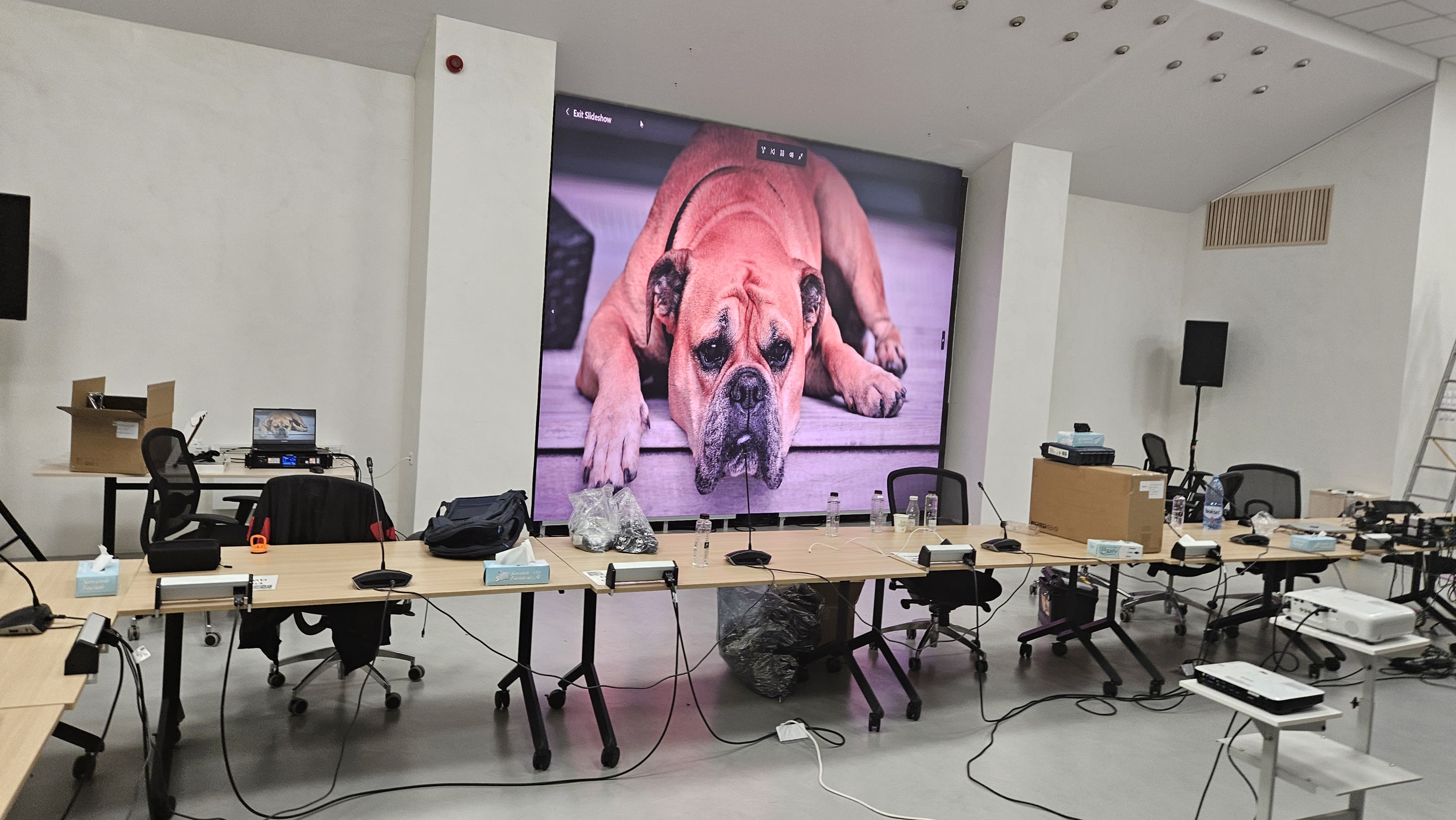 Ecran LED sala de evenimente