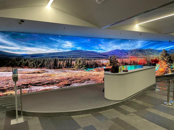 Videowall LED receptie
